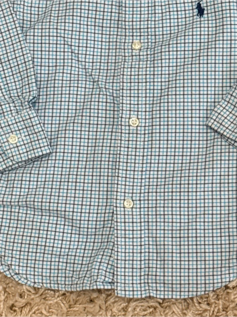 Ralph Lauren Blue and Navy Check Button-Down Shirt